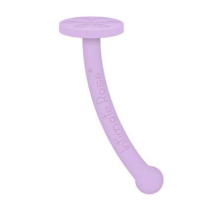 A lavender purple curved silicone dildo handle with a circular suction-cup base, shown against a white background with 'Intimate Rose' branding and the text 'Dilator Handle' above it.