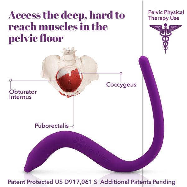 Pelvic Physical Therapy Wand