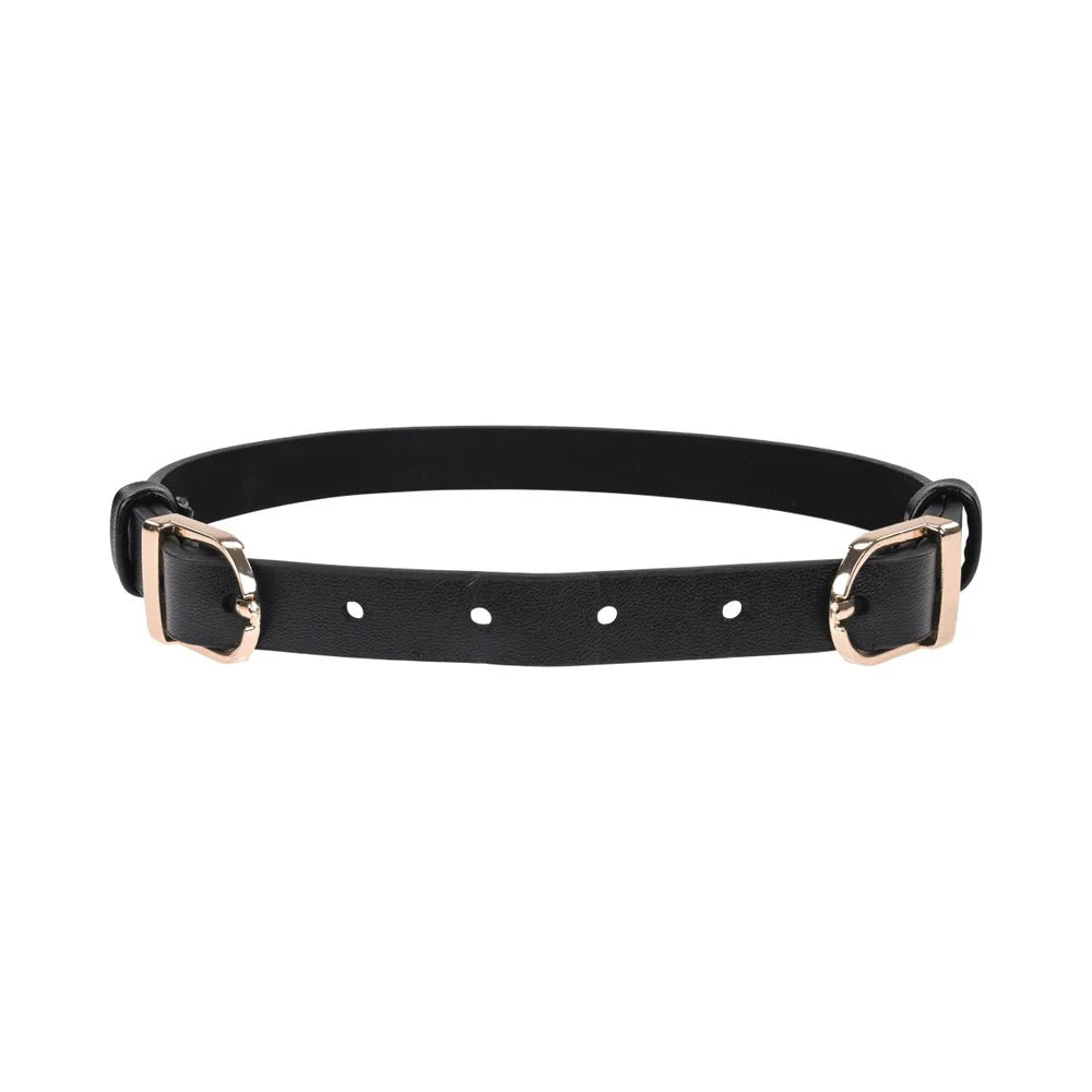 Black, thin collar with a gold buckle on each side of the neck.