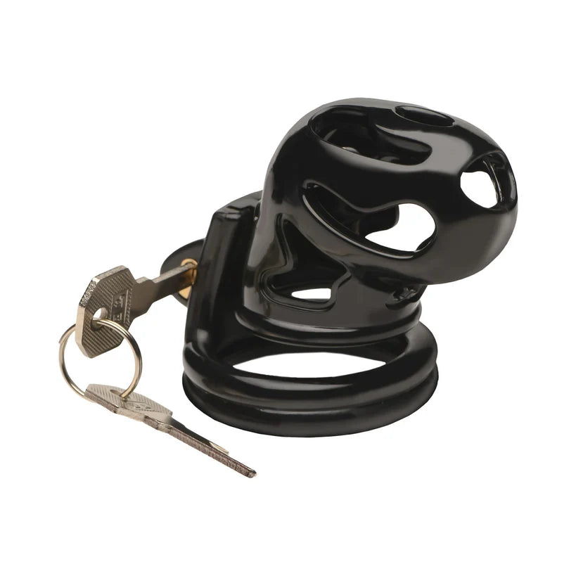 Double Ring Chastity Cage by Master Series