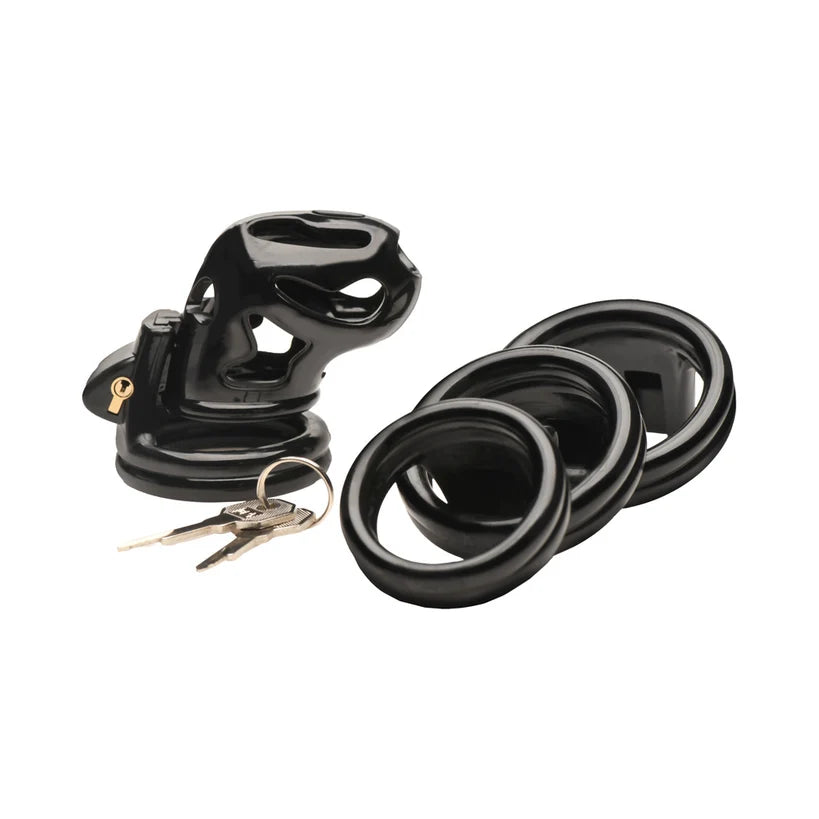 Double Ring Chastity Cage by Master Series