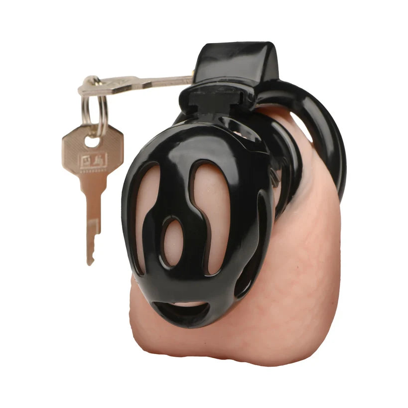 Double Ring Chastity Cage by Master Series