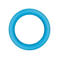 Blue ring on a white background
