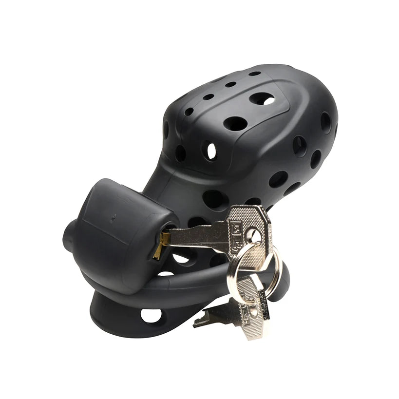 Lock Down Chastity Cage by Master Series