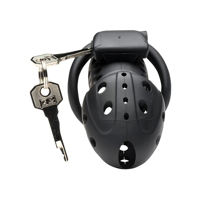 Lock Down Chastity Cage by Master Series