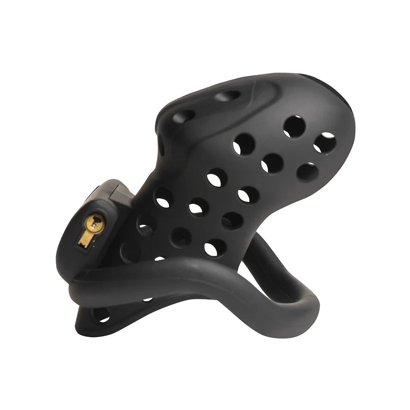 Lock Down Chastity Cage by Master Series