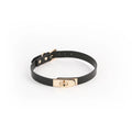 Black choker with gold clasp on a white background