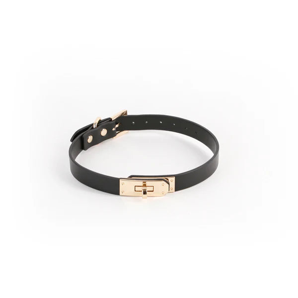 Black choker with gold clasp on a white background