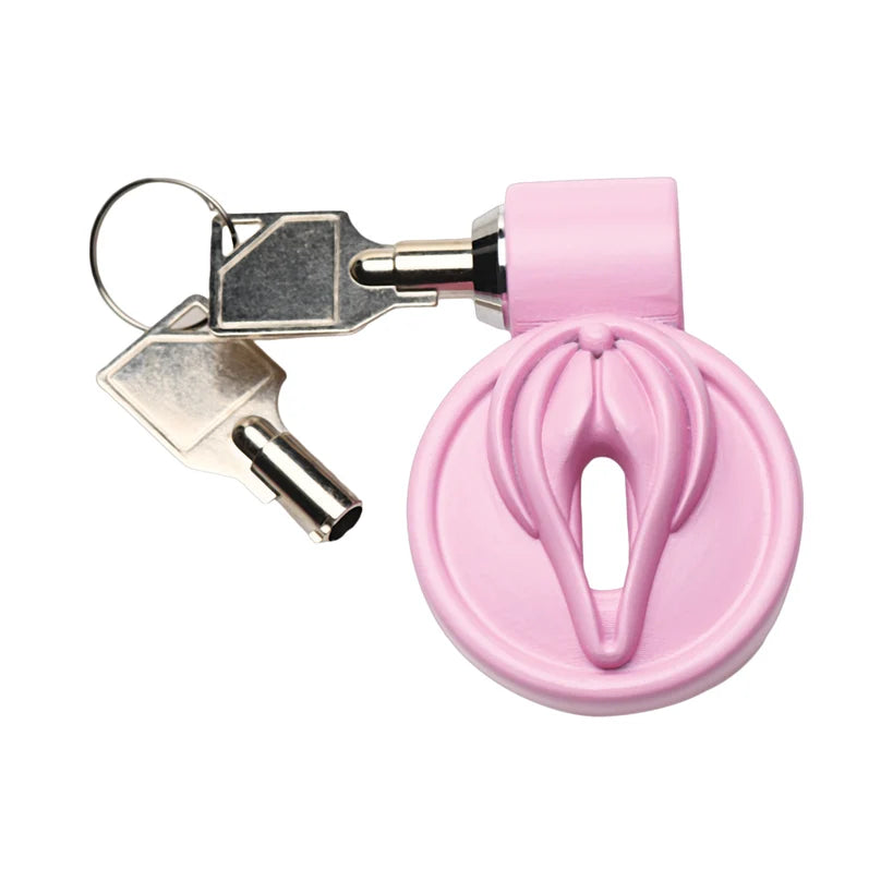 Vulva Locking Chastity Cage by Master Series