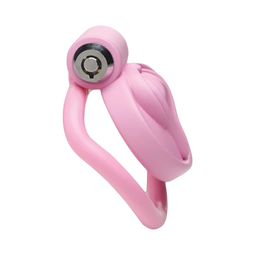 Vulva Locking Chastity Cage by Master Series