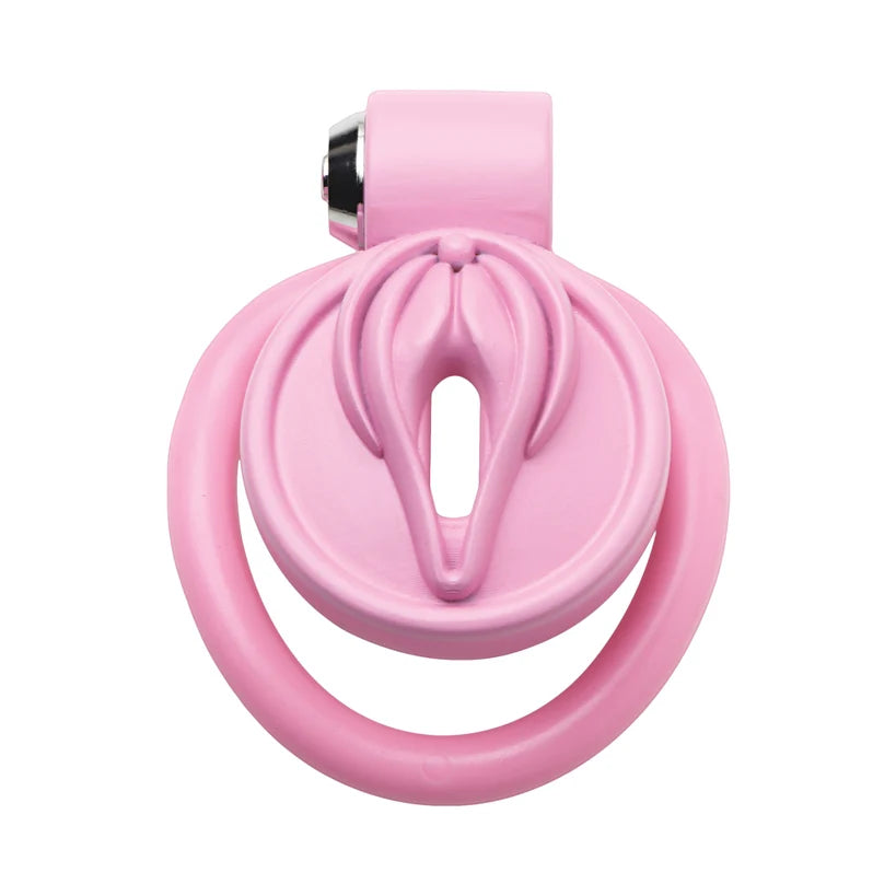 Vulva Locking Chastity Cage by Master Series
