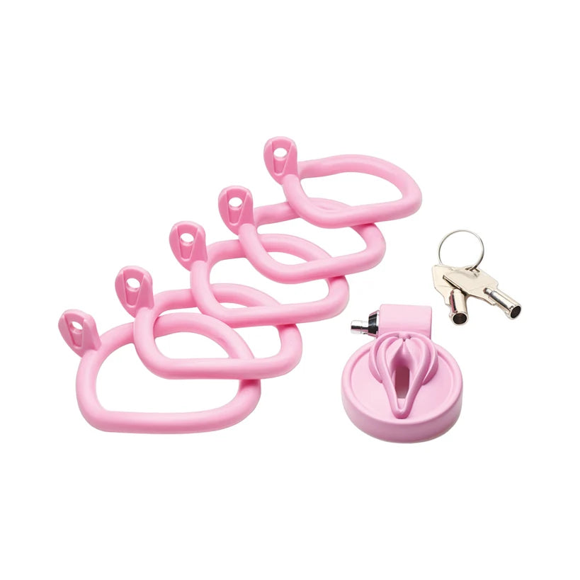 Vulva Locking Chastity Cage by Master Series