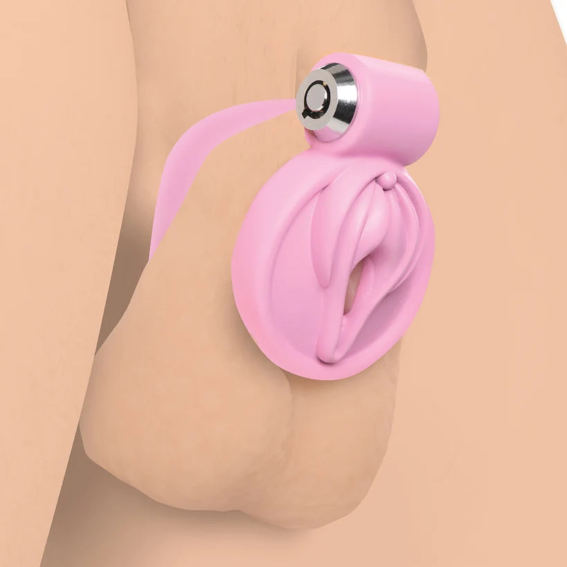 Vulva Locking Chastity Cage by Master Series