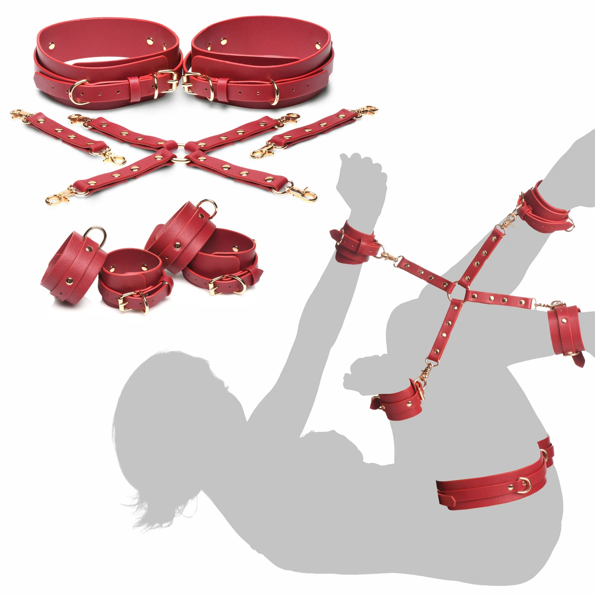 Red leather harness set with gold hardware on a white background