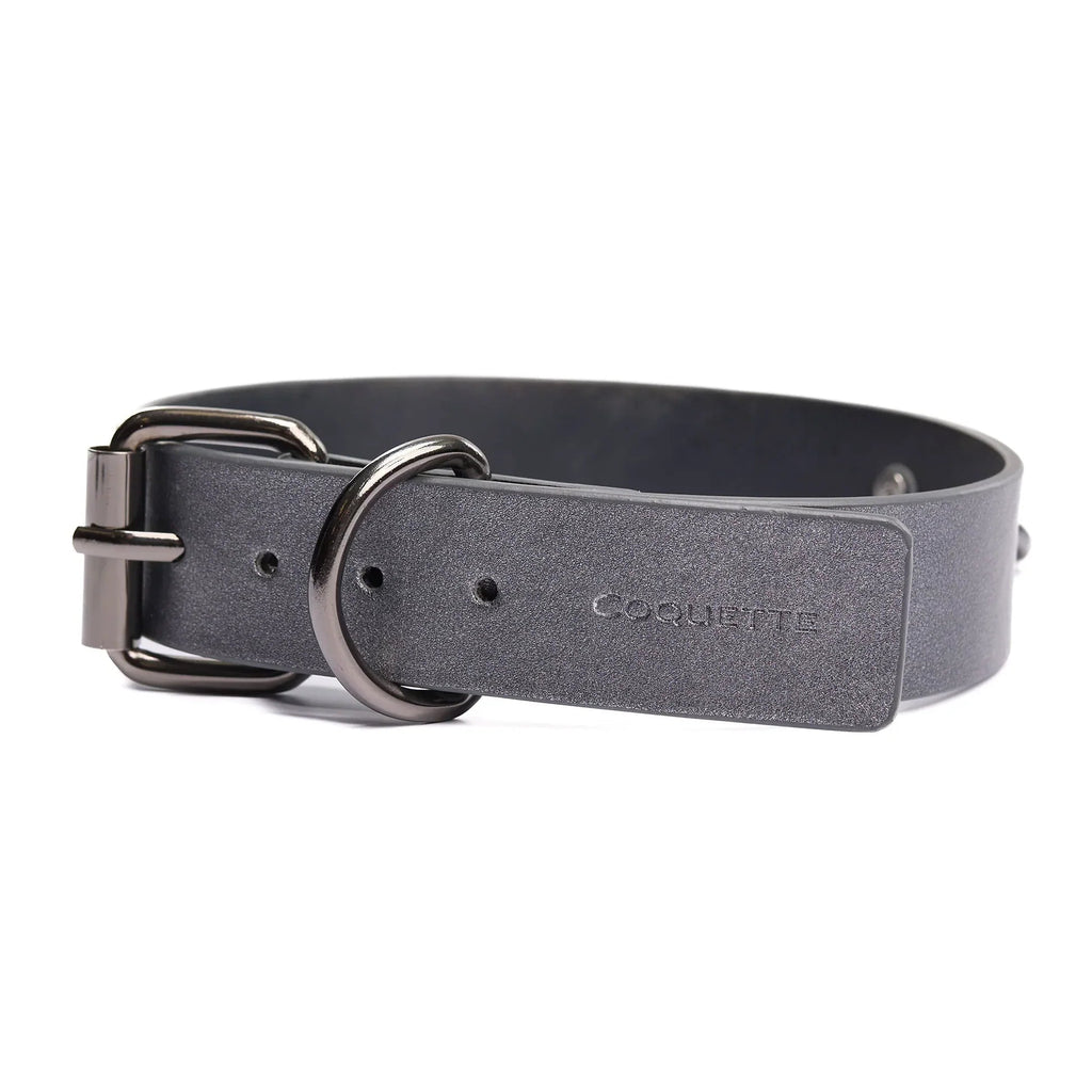 The back of the collar, showing a metal buckle and a metal D ring to hold the strap in place once buckled.