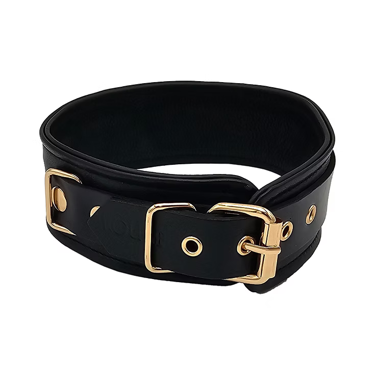 Black Leather Collar with Gold Hardware
