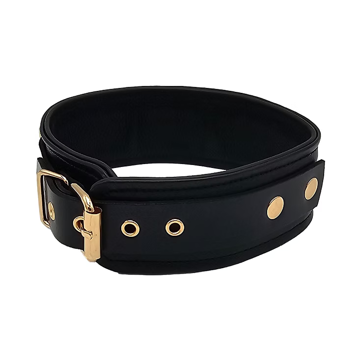 Black Leather Collar with Gold Hardware