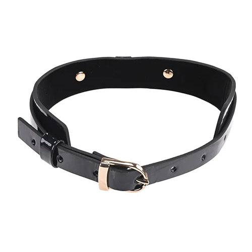 Close up of the gold buckle on the back of the collar.