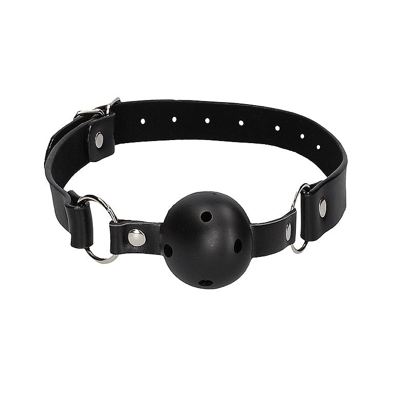 Inexpensive plastic ball gag with holes for easy breathing. Straps with silver buckle.