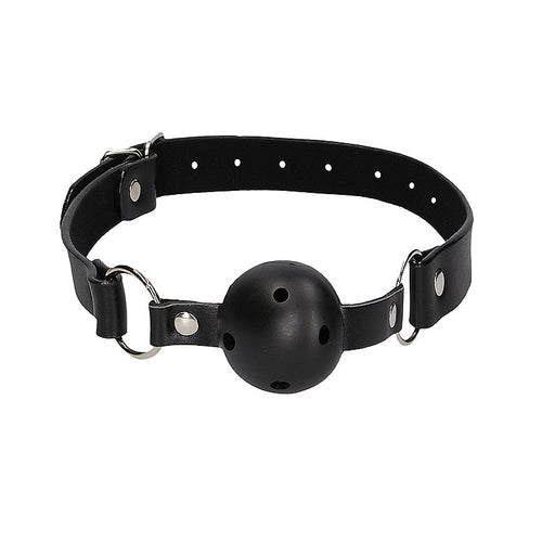 Inexpensive plastic ball gag with holes for easy breathing. Straps with silver buckle.
