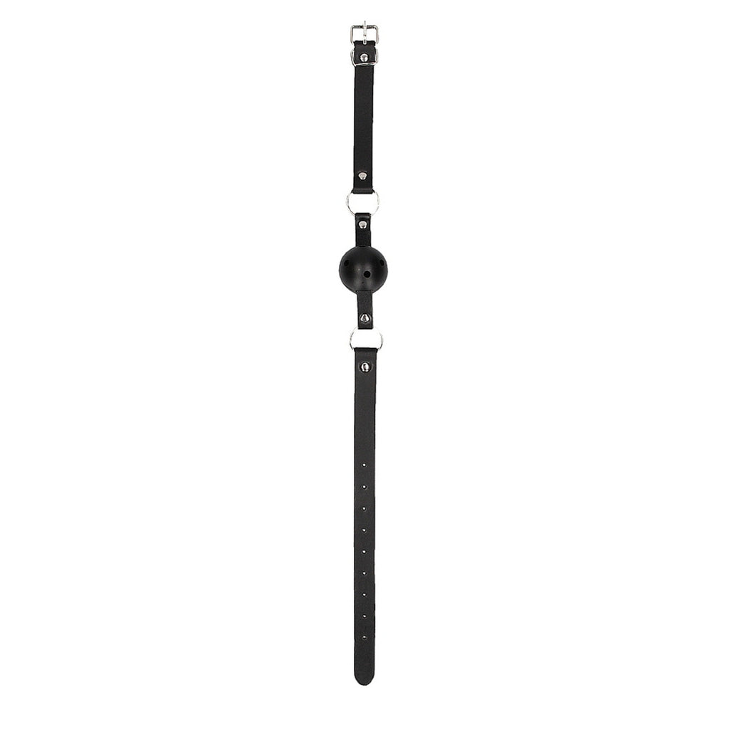 Inexpensive plastic ball gag with holes for easy breathing. Straps with silver buckle.