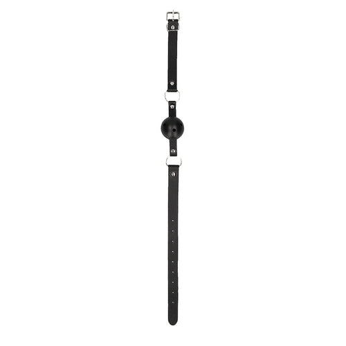 Inexpensive plastic ball gag with holes for easy breathing. Straps with silver buckle.