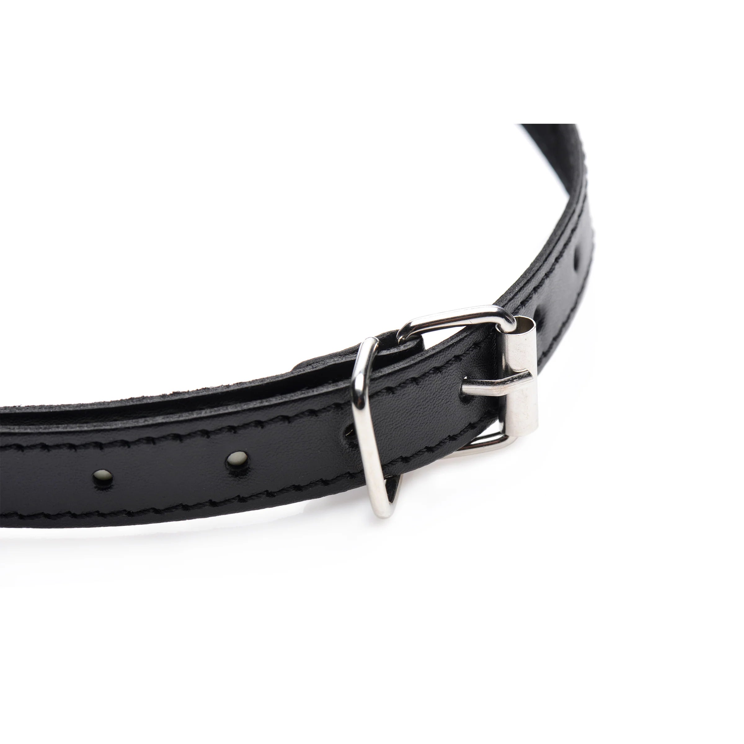Padded Blindfold & Bit Gag