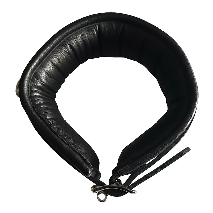 Leather Padded Bondage Collar