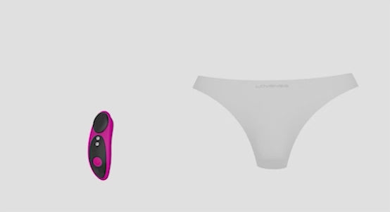 Lovense Ferri Panty Vibrator