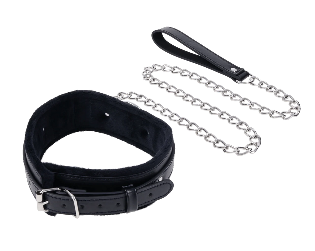 A back view, showing the silver buckle and soft interior of the collar.